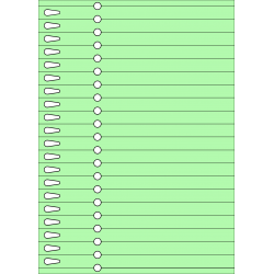 Etykiety pętelkowe (pętlowe, paskowe) TF20r8,5 pastelowe zielone