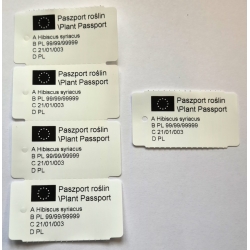 Przykład paszportu roślin na etykiecie zawieszanej 58x32 mm